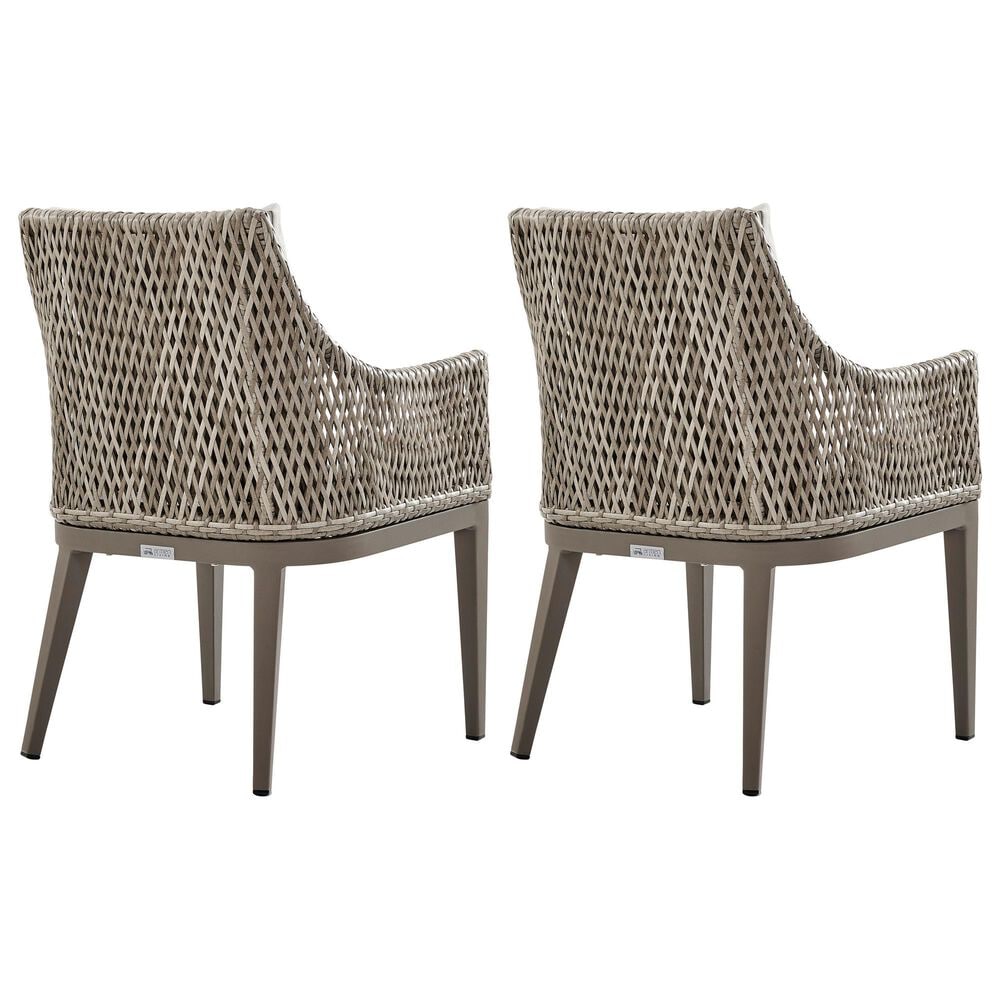 Blue River Silvana Outdoor Dining Chair with Beige Cushion in Gray (Set of 2), , large
