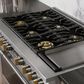 Monogram 48" Dual-Fuel Professional Range with 6 Burners and Steam Clean in Stainless Steel, , large