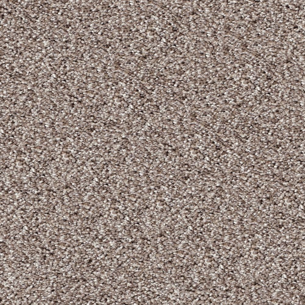 Dixie Home Swiss Alpine Carpet in Pinscher, , large