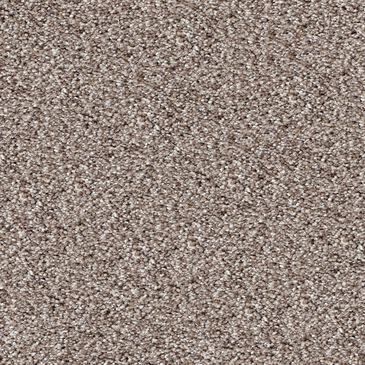 Dixie Home Swiss Alpine Carpet in Pinscher, , large