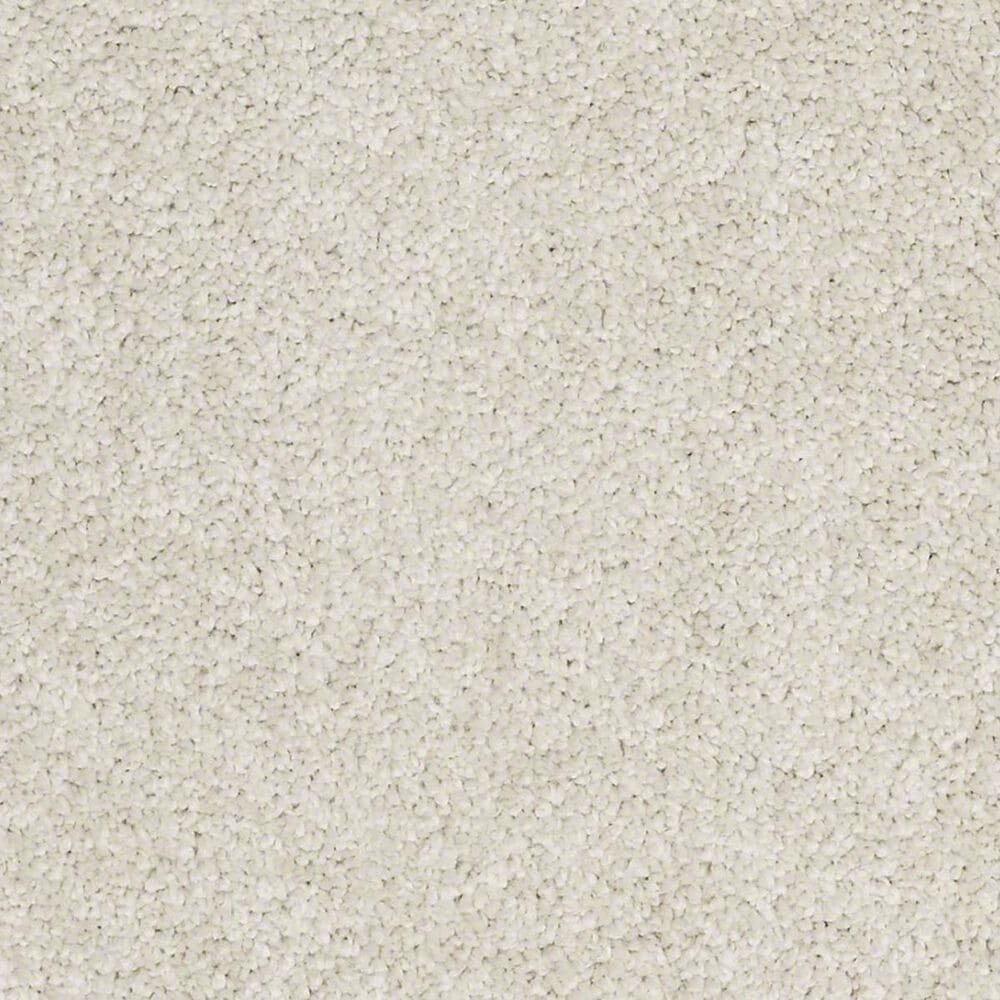 Anderson Tuftex Barracan Classic III Carpet in Cheviot, , large