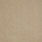 Shaw Infallible Instinct Carpet in Biscotti, , large