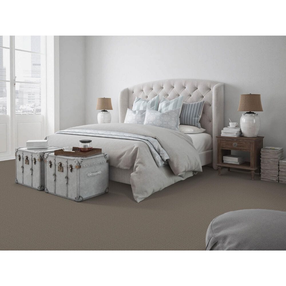 Dixie Home Affinity Carpet in Cobblestone, , large