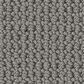 Anderson Tuftex Arden Park Carpet in Stormy, , large
