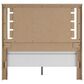 Ashley Brozmont Queen Panel Bed with Two Nightstands in Natural Brown, , large