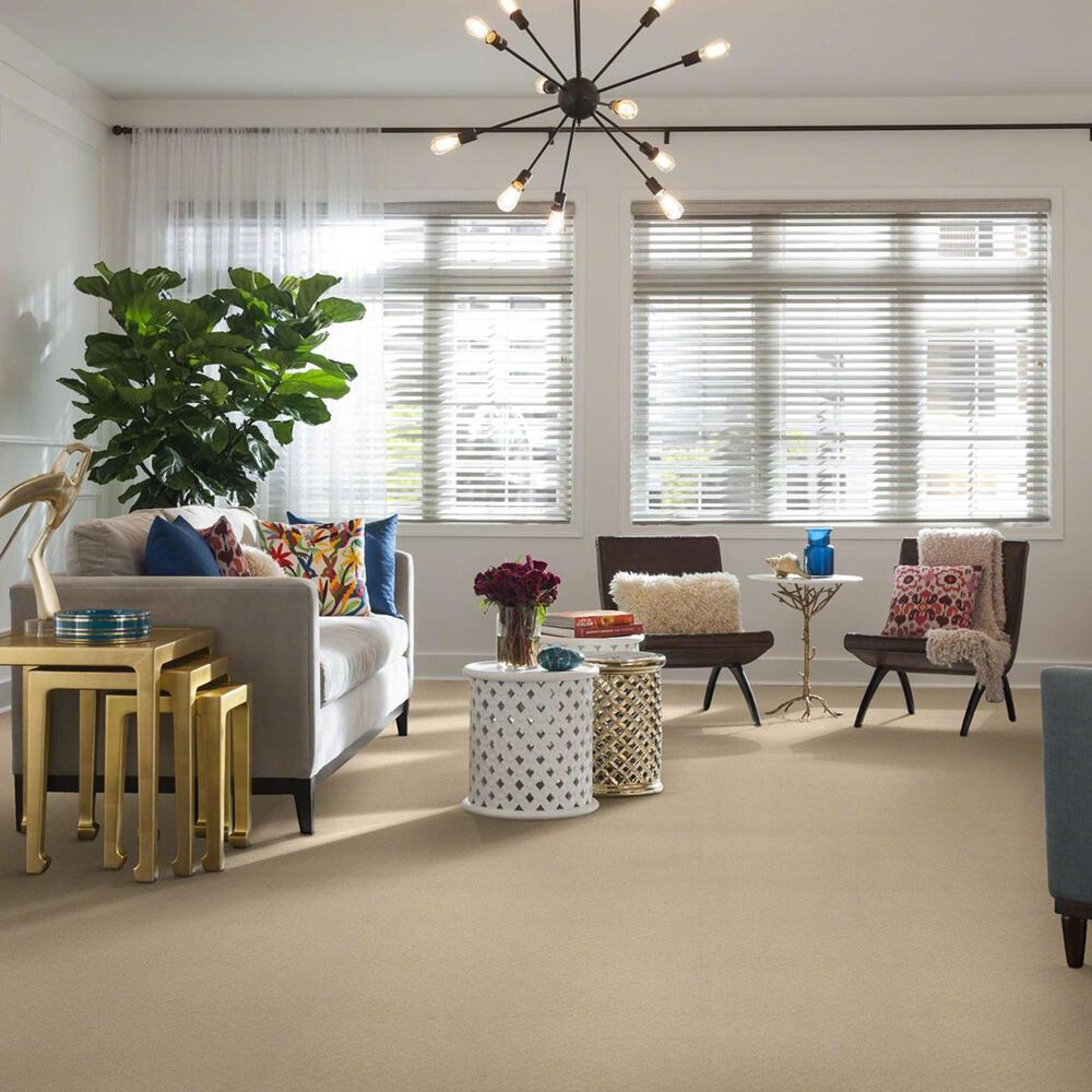 Anderson Tuftex Off Leash Carpet in Antiquity, , large