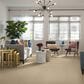 Anderson Tuftex Off Leash Carpet in Antiquity, , large