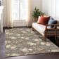 Dalyn Rug Company Wonderland WN36 Taupe 5" x 7"6" Area Rug, , large