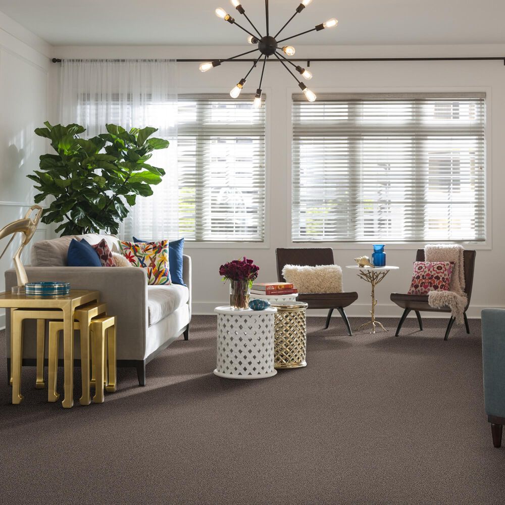 Shaw Foundations Take The Floor Tonal I Carpet in Tundra, , large