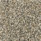 Shaw Artistic Fusion I Carpet in Honeycomb, , large