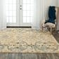 RIZZY Belmont 9" x 12" Beige, Gold and Grey Area Rug, , large