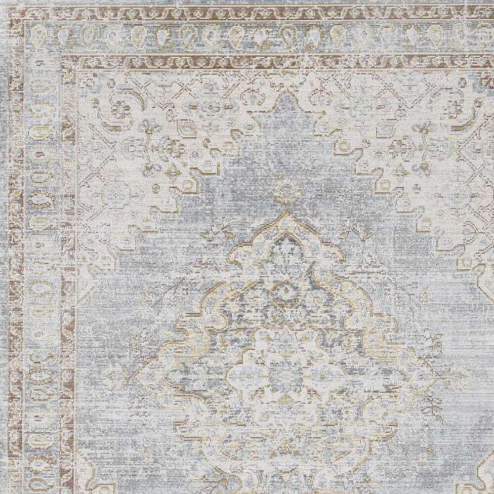 Amer Rugs Century 2&#39; x 3&#39; Gray and Ivory Area Rug, , large