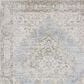 Amer Rugs Century 2" x 3" Gray and Ivory Area Rug, , large