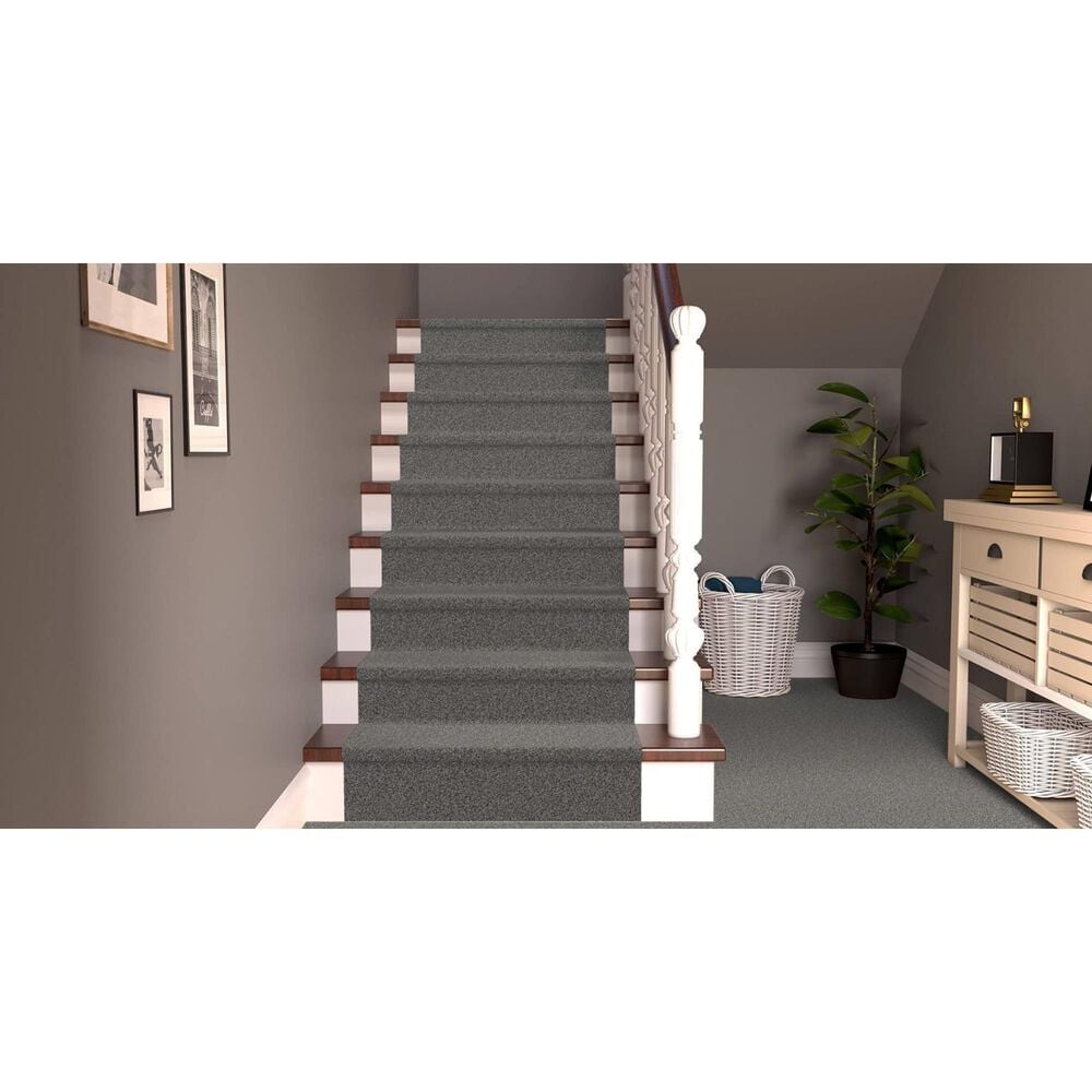 Revolution Mills Rainier Carpet in Gondola, , large
