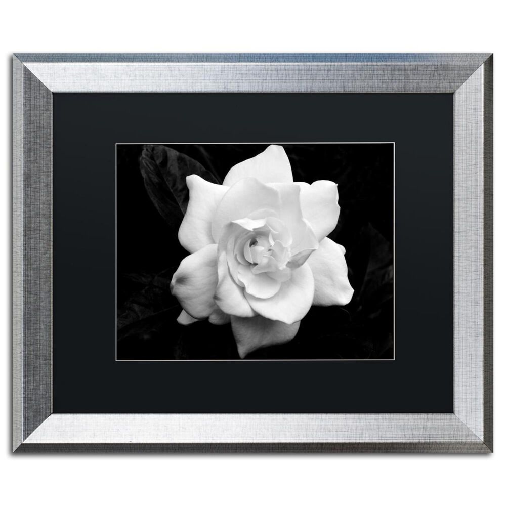 Timberlake 16" x 20" Gardenia in Black and White Art in Black Matting and Silver Frame, , large