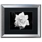 Timberlake 16" x 20" Gardenia in Black and White Art in Black Matting and Silver Frame, , large