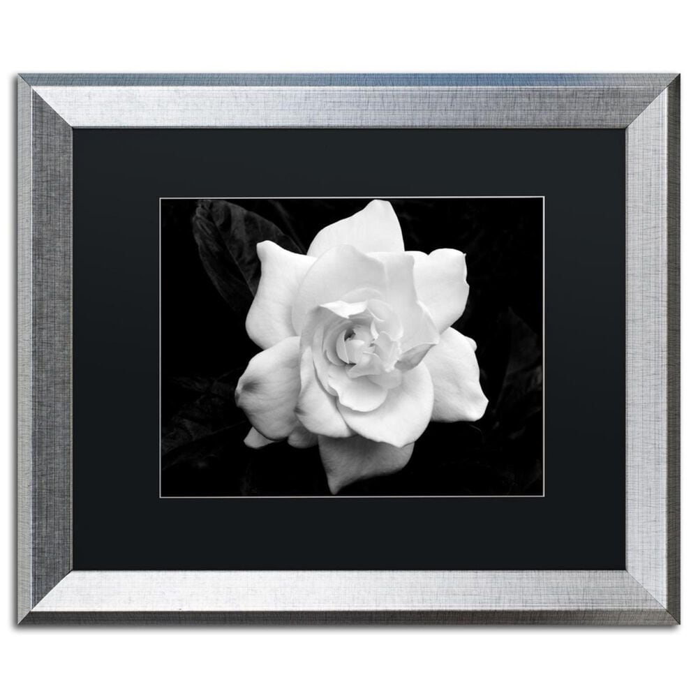 Timberlake 16" x 20" Gardenia in Black and White Art in Black Matting and Silver Frame, , large
