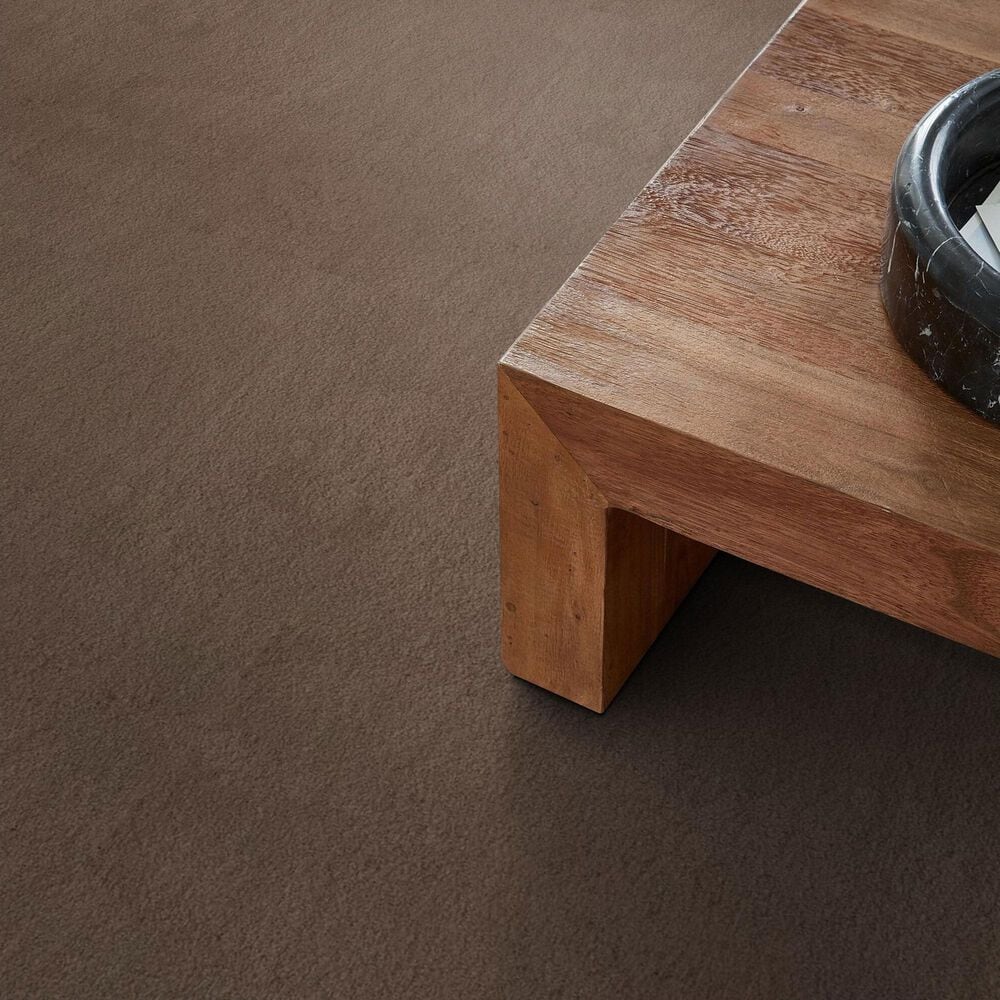 Anderson Tuftex Luxe Feel I Carpet in Pebble Path, , large