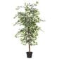 Maple and Jade Indoor/Outdoor Tall Artificial Ficus with Black Plastic Pot in Green and Brown, , large