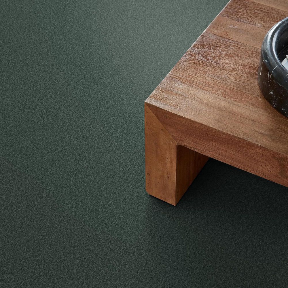 Shaw Tonal Comfort I Carpet in Bold Moves, , large