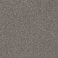 Philadelphia Mixed Essentials Carpet in Oyster, , large