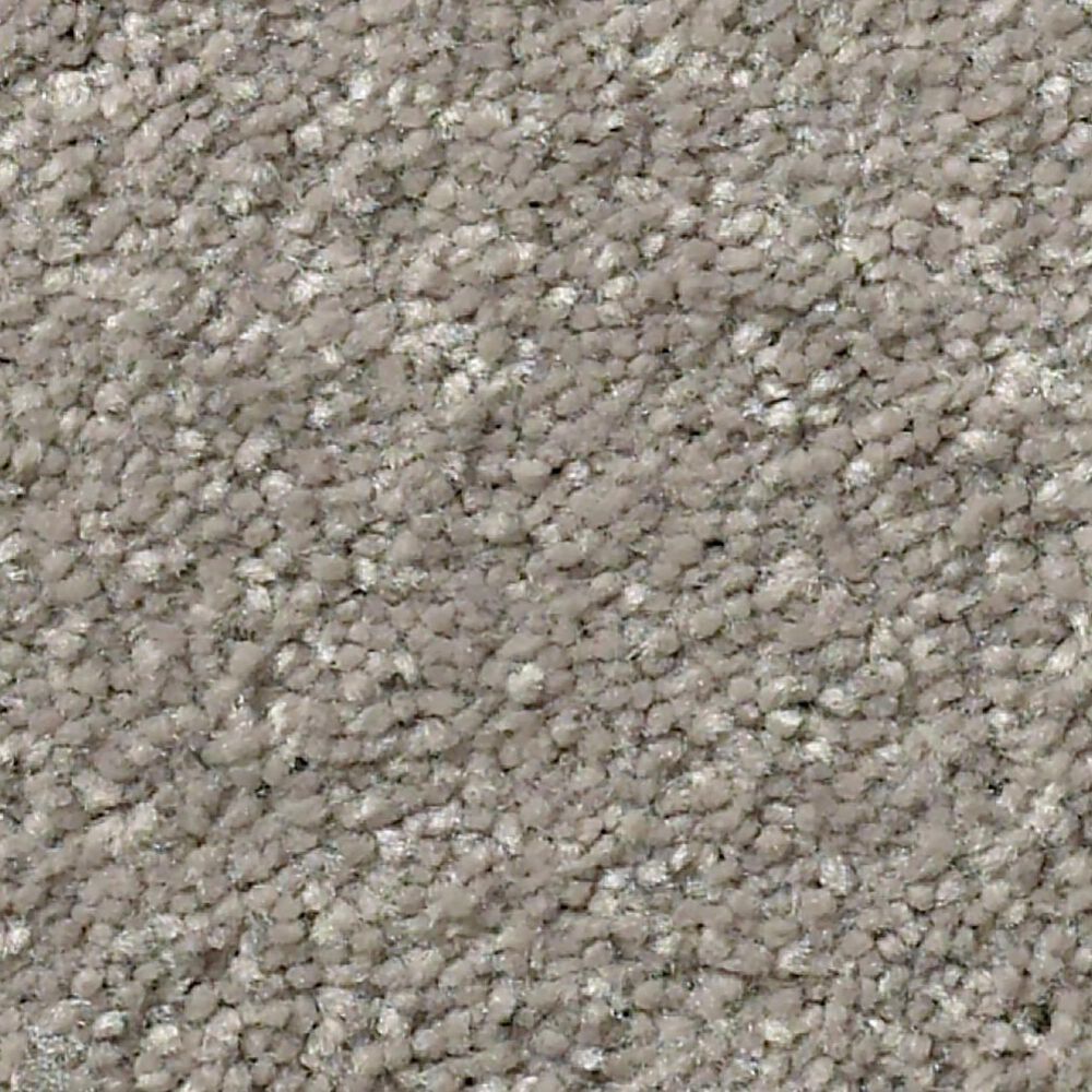 Shaw Well Grounded II 12" Carpet in Tree Bark, , large