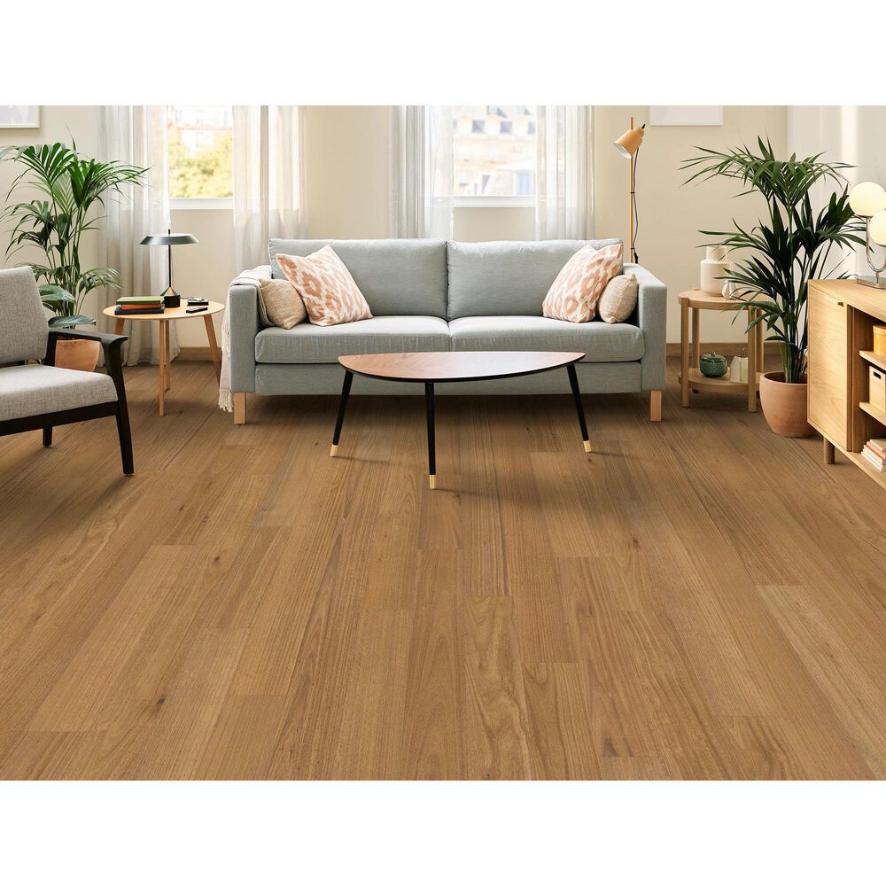 Shaw Bridgewater Golden Canopy Eucalyptus Hardwood, , large