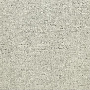 Dixie Home Courage Carpet in Award Winner, , large