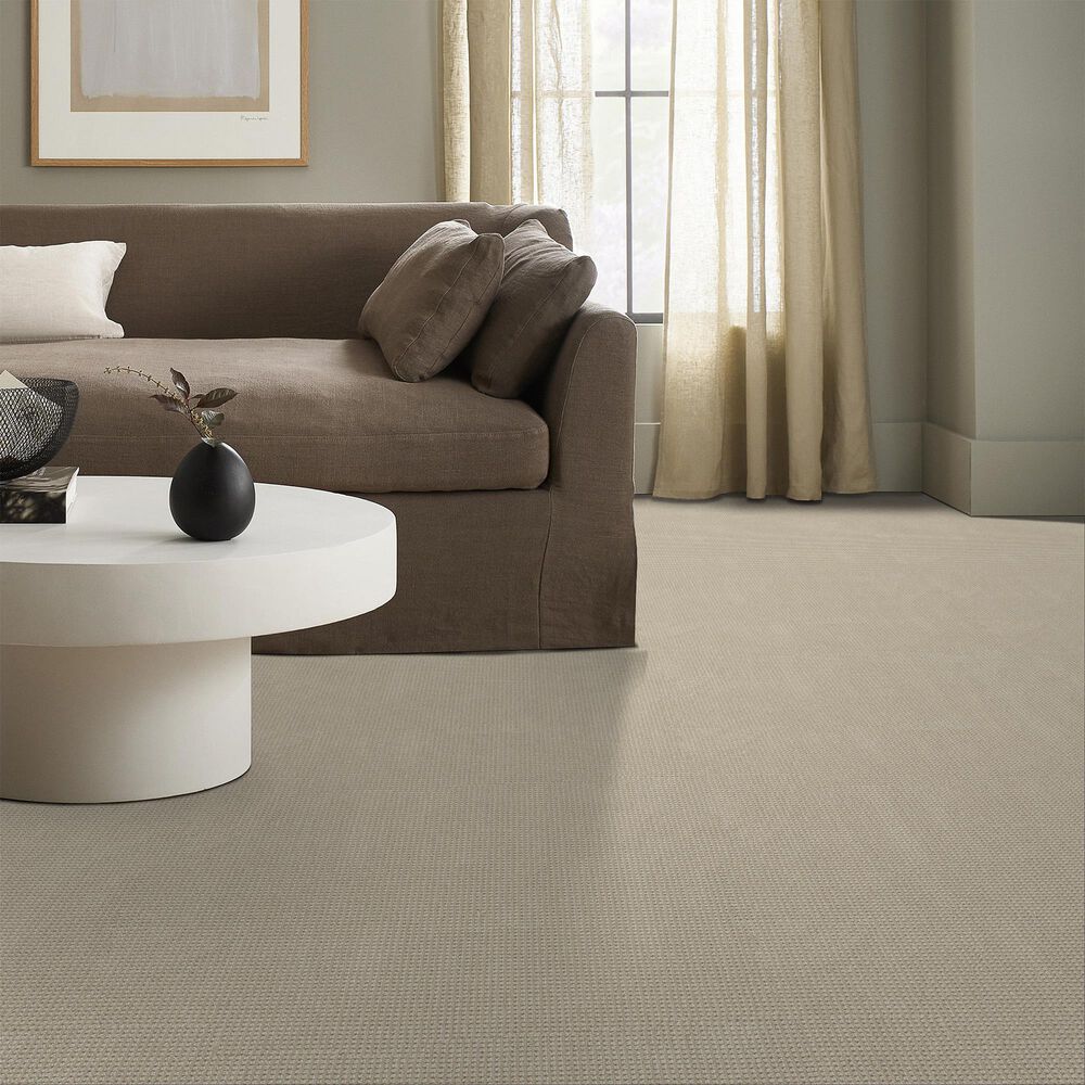 Anderson Tuftex Inspired Carpet in Basalt, , large
