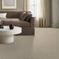 Anderson Tuftex Inspired Carpet in Basalt, , large