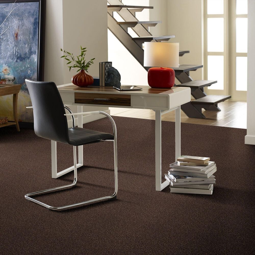 Shaw Find Your Comfort TT I Carpet in Chocolate Treat, , large