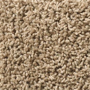 Shaw Del Morro Carpet in Crossroads, , large