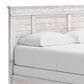 Ashley Makidern Queen Panel Bed in Whitewash, , large