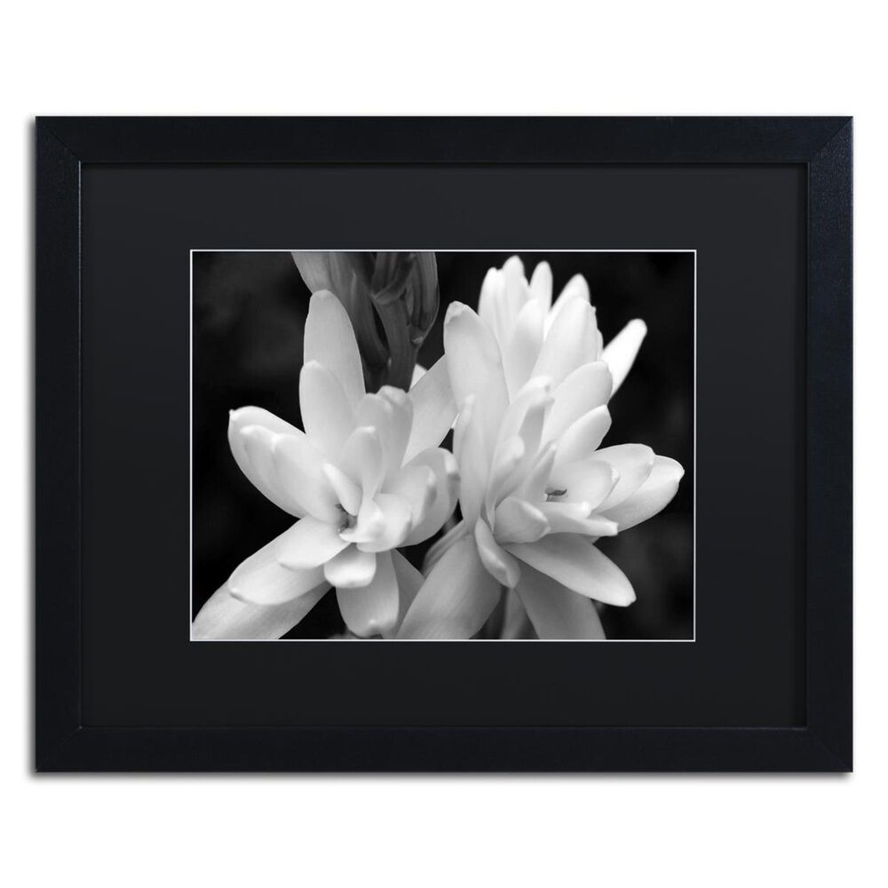 Timberlake 16" x 20" Tuber Rose in Black and White Art in Black Matting and Black Frame, , large