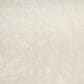 Nourison Desire Beige 6" x 9" Area Rug, , large