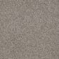 Dixie Home Big Splash Carpet in Manatee, , large