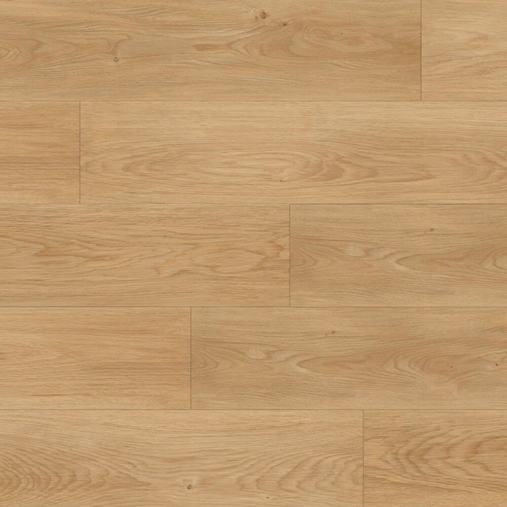 Republic Floor Misty Tree Creama Brazil 9" x 72" Luxury Vinyl Plank, , large