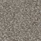 Shaw Game Changing I Carpet in Mirage, , large