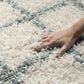 Safavieh Dallas Shag SGD258J-212 2"3" x 12" Ivory/Seafoam Runner, , large