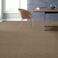 Anderson Tuftex Artifact Carpet in Birchwood, , large