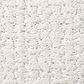 Shaw Warm Memories Carpet in Coming Home, , large