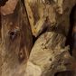Uttermost Driftwood Coffee Table in Natural, , large