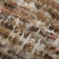 Amber Lewis x Loloi Molly Tobacco and Sage 8"6" x 12" Area Rug, , large