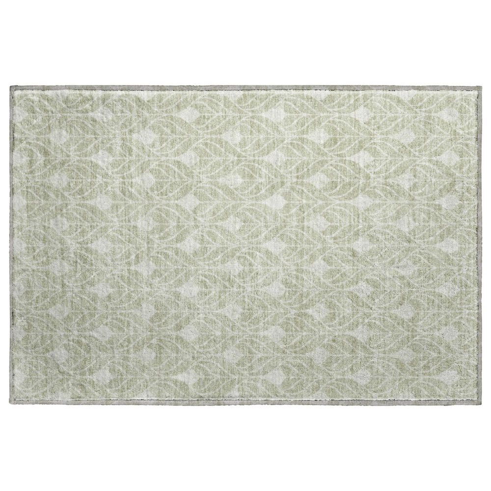 Dalyn Rug Company The Reserve TR10 Celery 2"6" x 3"10" Indoor/Outdoor Area Rug, , large