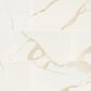 MS International Eden Calacatta 12" x 24" Matte Porcelain Tile, , large