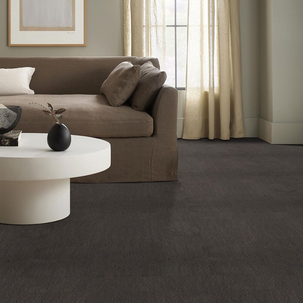 Anderson Tuftex Luxe Feel II Carpet in Armory, , large