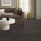 Anderson Tuftex Luxe Feel II Carpet in Armory, , large