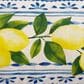 Hearth and Haven 14" x 24" Outdoor Summer Fresh Lemon New Lumbar Pillow in Multicolor, , large