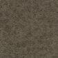 Godfrey-Hirst Inspiring Selection Carpet in Mineral, , large