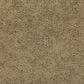 Godfrey-Hirst Inspiring Selection Carpet in Earthen, , large
